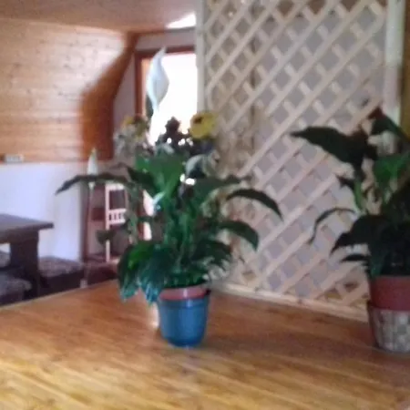 Gospel Appartman Apartman